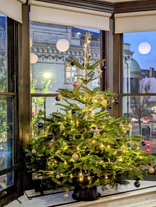 A Christmas Tree displayed in a bay window at WRAP. 