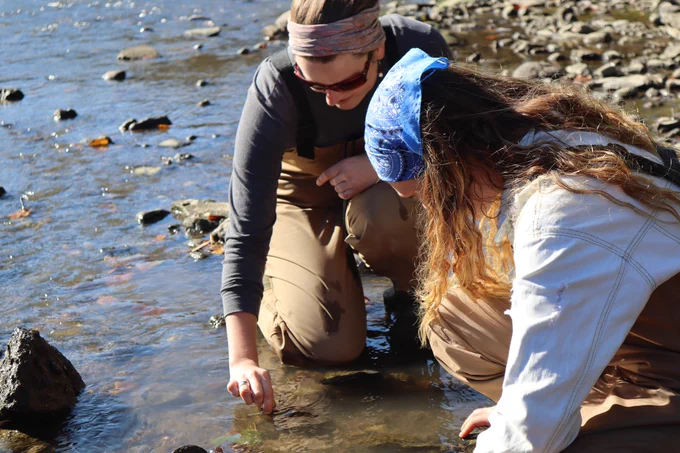 Two people in a stream of the Olentangy River kneeling to pick up something in the water.