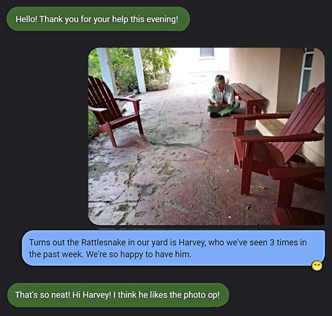 Sara: "Hello! Thank you for your help this evening!" ASP: "Turns out the Rattlesnake in our yard is Harvey, who we've seen 3 times in the past week. We're so happy to have him." Photo of Jeff filming Harvey the Rattlesnake. Sara: "That's so neat! Hi Harvey! I think he likes the photo op!”