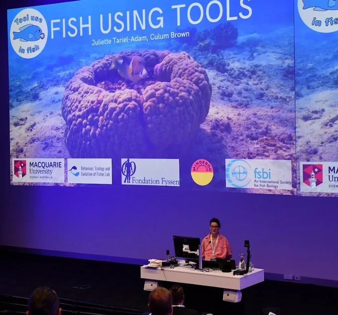 Dr Juliette Tariel-Adam presenting the fish tool use project