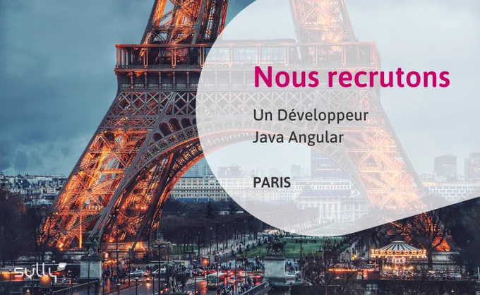 Sully Group Paris recrute un Développeur Java Angular