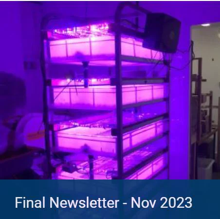 Image of newsletter