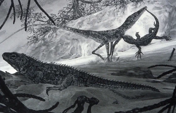 Reconstruction of Terrestrisuchus in its Late Triassic environment, from Fraser & Henderson 2006