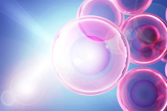Bright light shining through cells, resembling pink bubbles.