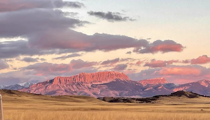 Photo of Rocky Mountains illuminated in a pink sunset with yellow fields in the foreground