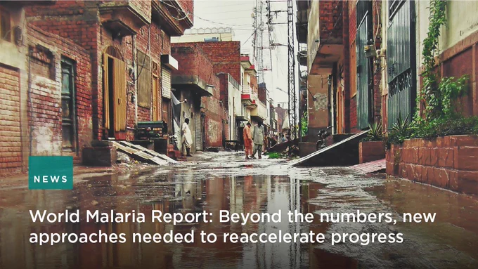 The image shows a street covered in rainwater. 

The text reads 
"World Malaria Report: Beyond the numbers, new approaches needed to accelerate progress."

