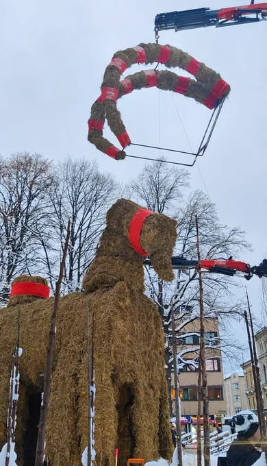 A picture of a crane placing the horns of a large straw goat