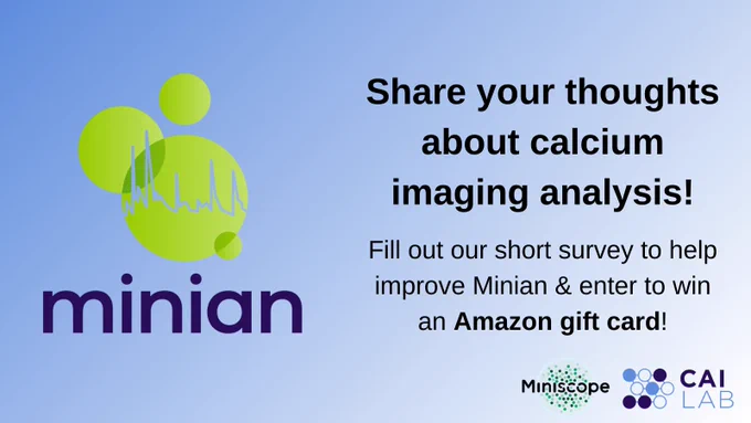 Share your thoughts about calcium imaging analysis