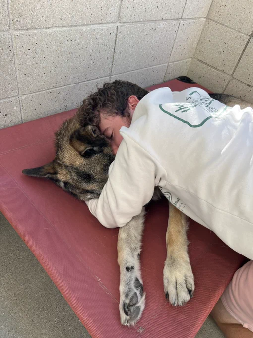 senior german shepherd doug lies calmly on his elevated red bed on his patio. his human matt, wearing a cream-colored hoodie and shorts, kneels next to doug and bends over to hold him in a loving embrace. matt’s eyes are closed, and doug’s face is buried in the crook of matt’s arm.