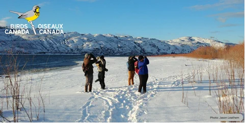 Four people in winter clothing.  They are standing in the snow near a river with snow covered mountains and blue sky behind.  They are all looking through binoculars but each is facing a different direction.