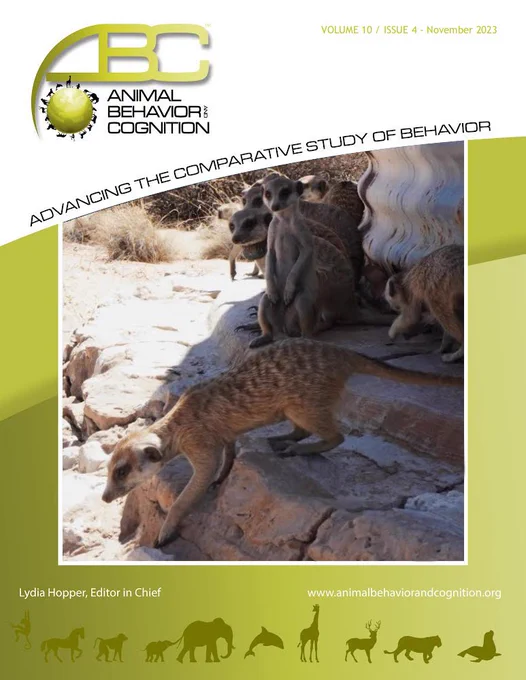 The cover image of the November issue of the journal Animal Behavior and Cognition. The photograph shows wild meerkats