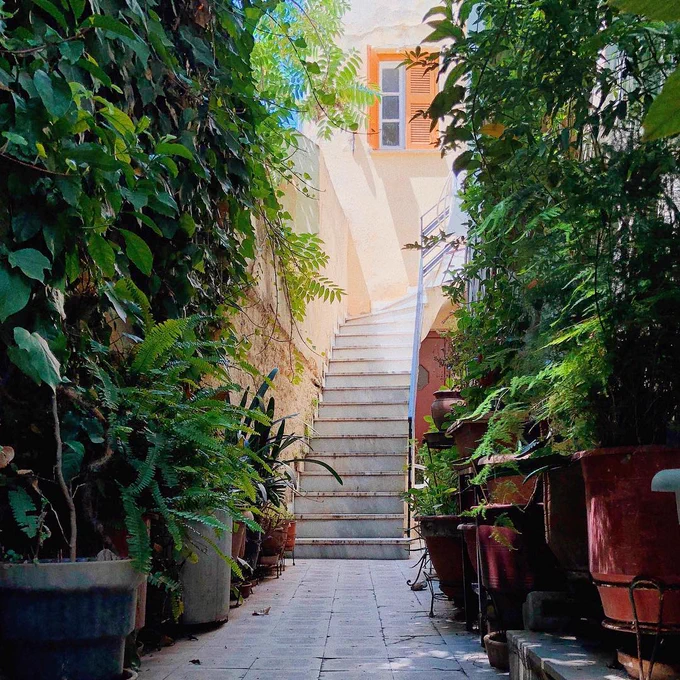 In Greece - a leafy passage and narrow, sunlit staircase lead to an unknown destination. Photo by Armaan Kapur.