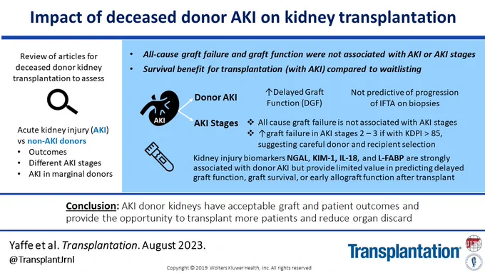 Visual abstract of Impact of Deceased-donor Acute Kidney Injury on Kidney Transplantation.