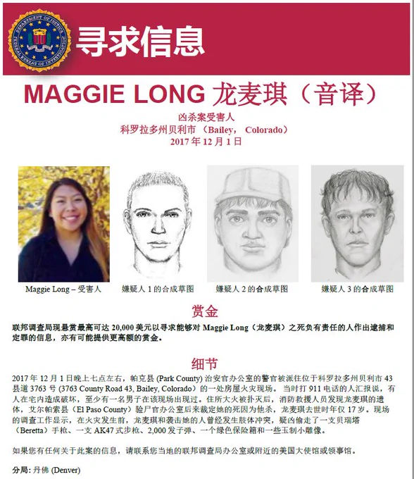 Maggie Long poster in simplified Chinese