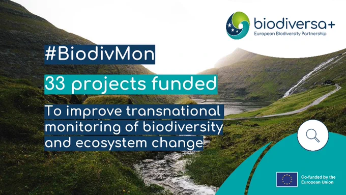 BiodivMon: 33 projects funded