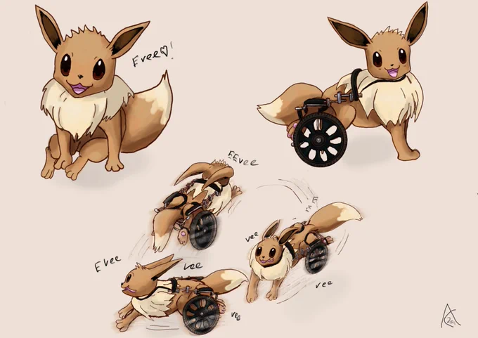 a disabled evee with disabled legs sitting about ot be put in chair 2nd image evee in dog wheelchair big wheel rig with strap over shoulder and collar attachment 
then 3rd iamge is same evee with zoomies going in circle 

they are very cute 