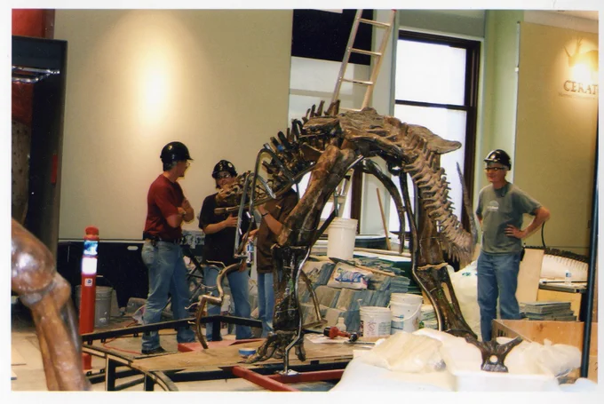 Kieran Shepherd (right) works with the museum paleo team to install the skeleton on Chasmosaurus belli in the new Fossil Gallery, 2006. Image: Alan McDonald, Canadian Museum of Nature.