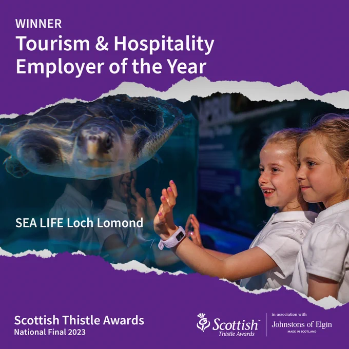 Central images shows two children looking into a tank where a turtle is swimming. Their reflection can be seen in the glass. There is a purple background to the top and bottom with text that reads: Winner Tourism & Hospitality Employer of the Year, SEA LIFE Loch Lomond, Scottish Thistle Awards National Final with Scottish Thistle Awards in association with Johnstons of Elgin logo
