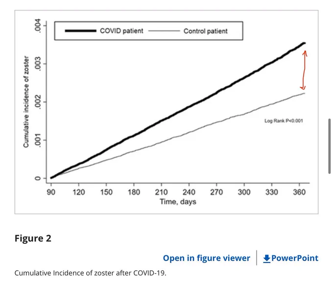 Figure 2 line graph again showing the higher cumulative incidence of shingles in the covid group vs control group with the gap between the 2 lines highlighted.