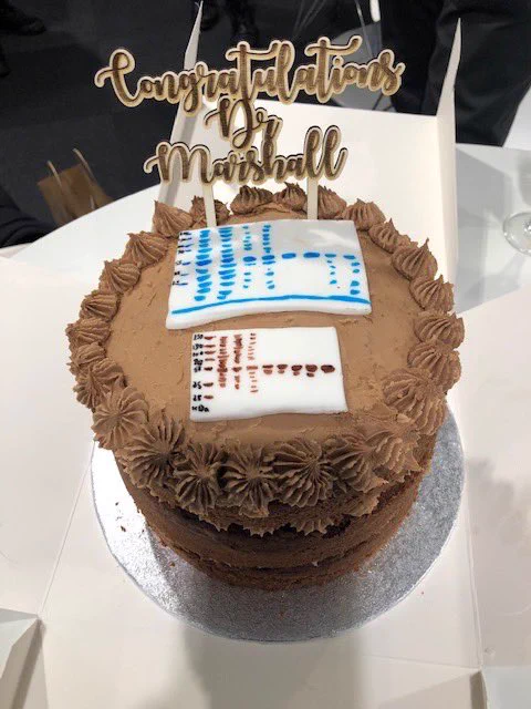 Celebration cake with gels