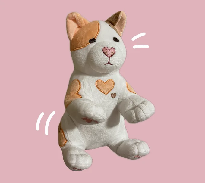 Image of pudgems plushie. A silly looking cat plushie