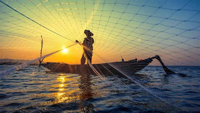 Picture at www.msc.org/media-centre/news-opinion/news/2023/04/12/100-million-dollar-goal-to-scale-up-sustainable-fishing