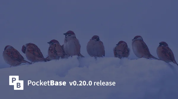 PocketBase v0.20.0 release banner with sparrows in the background.