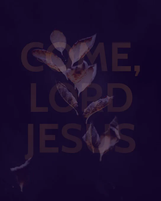 An image of some frosty foliage overlaid with the text ‘Come, Lord Jesus’.