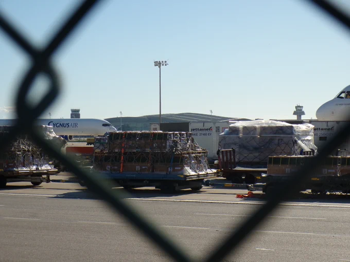 Long-tailed macaques unloaded from Bluebird Nordic aircraft at Barcelona Airport, November 2023; credit: AboliciónVivisección