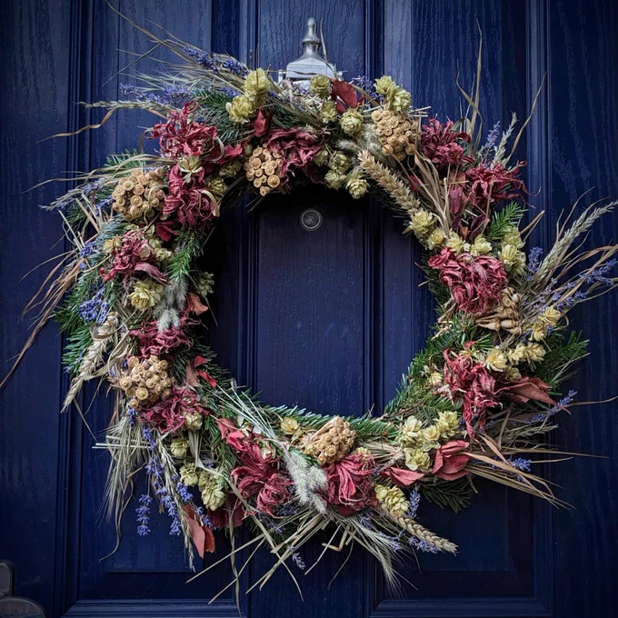 A Christmas wreath on a blue door featuring conifer foliage and dried plants including lavender, grasses, red leaves, hops, poppy seedheads tied together in bunches and bunny tail grass.