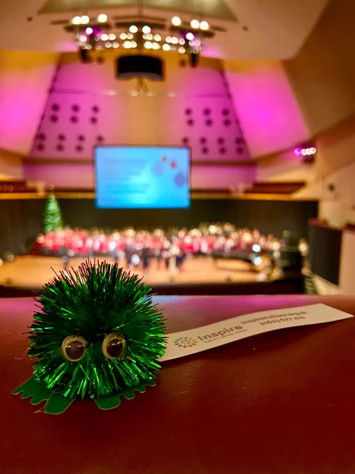 Christmas bug at theatre royal