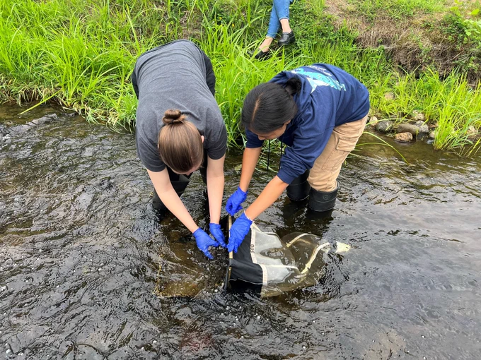 Two volunteers collect stream bugs to assess water quality in Bear Creek.