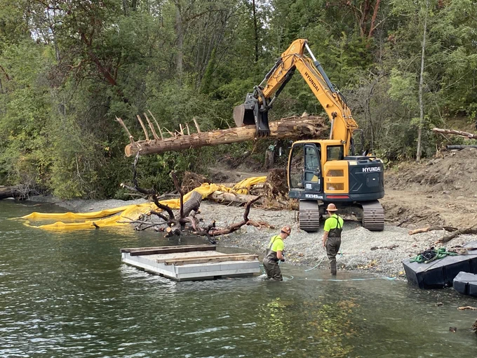 A crane places large wood debris in Lake Washington to reduce shoreline erosion and improve salmon habitat.