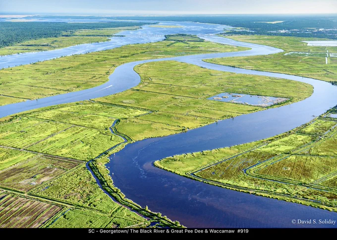 Remnants of the rice field around the city of Georgetown, SC.