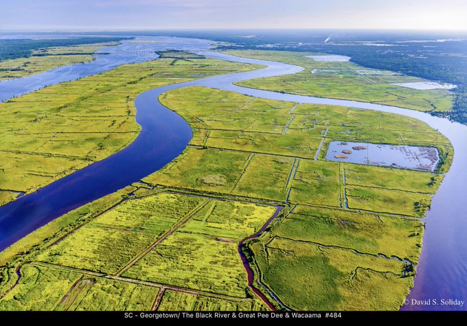 Remnants of the rice field around the city of Georgetown, SC.