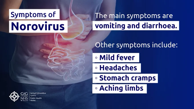 Image of person clutching stomach. Text reads: "Symtpms of Norovirus. The main symptoms are vomiting and diarrhoea. Other symptoms include, mild fever, headaches, stomach cramps, aching limbs."