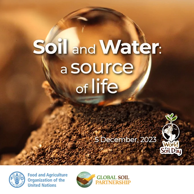 World Soil Day