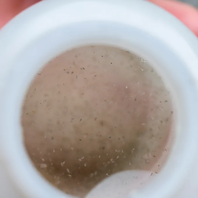 Water sample from Windermere