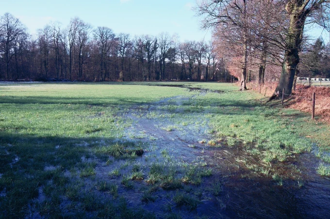 Een vloeiweide op het Lankheet van het klassieke (middeleeuwse) ‘volvelds’-type: door het water in een beek op te stuwen en via een aanvoersloot naar een weide te leiden, kan een zo'n breed mogelijk oppervlak van de weide worden bevloeid. Het watersysteem dat deze oude weidepercelen verbond is in 1999 gereconstrueerd en hersteld
