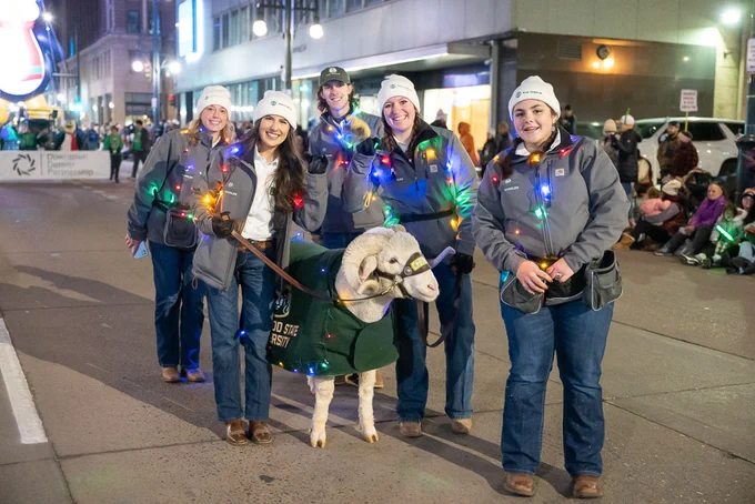 Five Ram handlers stand with CAM The Ram as part of the Parade Of Lights. They're wearing Colorado State University-branded hats and coats, smiling for the camera. CAM is adorned in his CSU-branded blanket, adding to his charm.
