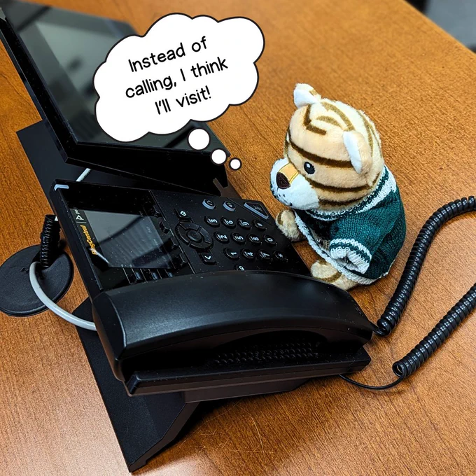 The plush cat, this time wearing a green sweater, sits in front of a phone. Above his head is a thought bubble that reads "Instead of calling, I think I'll visit!"