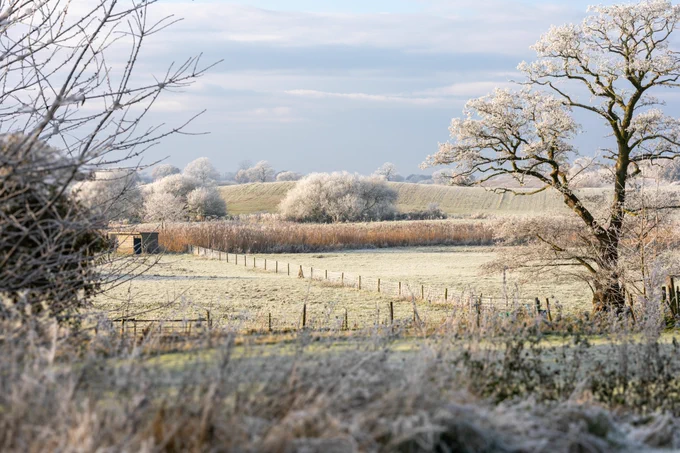 A view of a cold and frosty landscape in Shropshire, filled with trees, grass, hedges, and a silvery sky. 