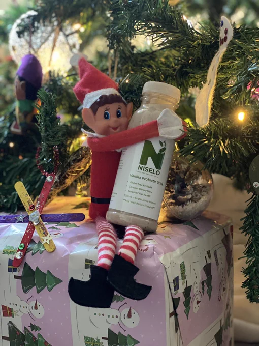 Elf on the Shelf cuddling a gluten-free Niselo probiotic drink. More information - www.niselo.co.uk