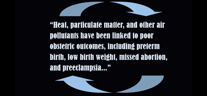 Heat, particulate matter, and other air pollutants have been linked to poor obstetric outcomes, including preterm birth, low birth weight, missed abortion, and preeclampsia…