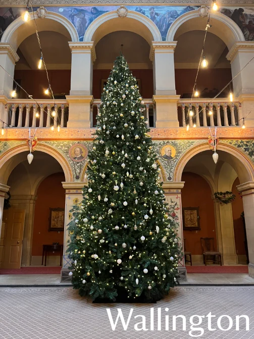 Wallington - A tree tall enough to cover 2 floors stands in a great hall, decorated with gold and silver