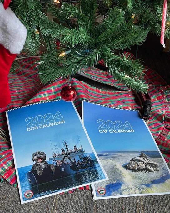 Two 2024 calendars, one with a dog on the front and one with a cat on the front, lie on a green, red, and gold plaid skirt underneath a Christmas tree. 