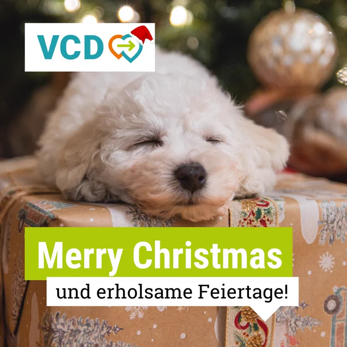 Auf dem Bild sieht man einen kleinen weißen Hund, der unterm Weihnachtsbaum auf einem Geschenk schläft. Links oben ist das VCD-Logo mit Weihnachtsmütze abgebildet und mittig steht "Merry Christmas und erholsame Feiertage!" 