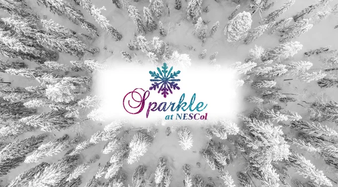 A photograph of a snowy forest, taken from above, with the Sparkle at NESCol logo set the in the middle.