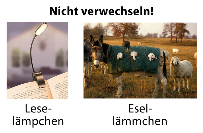 Zwei Bilder, nebeneinander, überschrieben mit "Nicht verwechseln!"
Links ein an einer Buchoberkannte festgeklemmtes LED-Licht, Bildunterschrift "Leselämpchen", rechts auf einer Weide ein Esel mit einem Überwurf mit seitlichen Taschen, aus denen Lämmerköpfe schauen, Bildunterschrift "Esellämmchen". Im Hintergrund eine Schafherde.