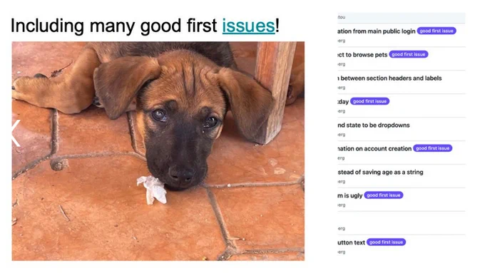 Image of puppy and github issues.